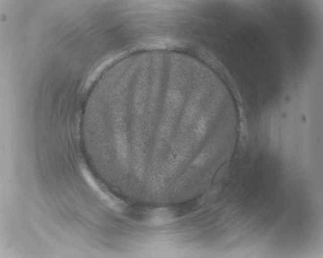 X0000051890058200507151949