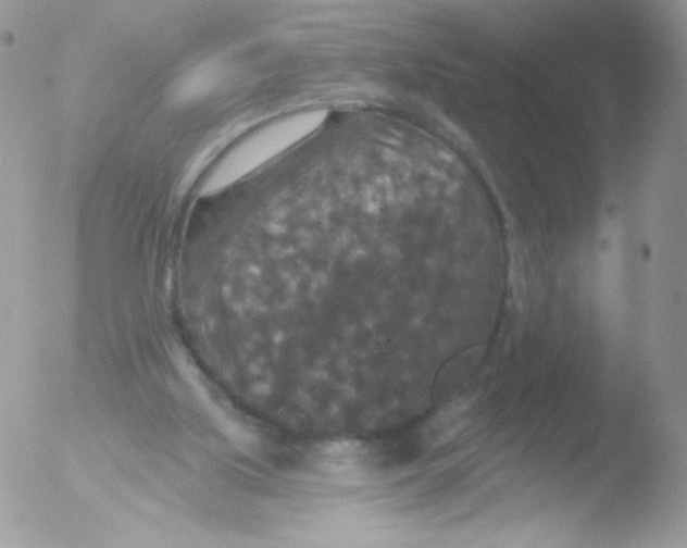 X0000051890059200507151949