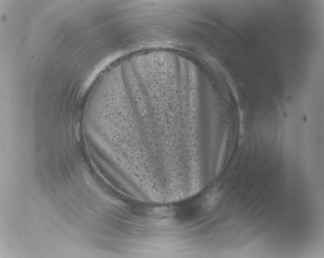 X0000051890060200507151949