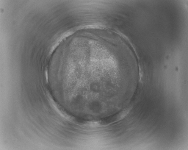 X0000051890061200507151949