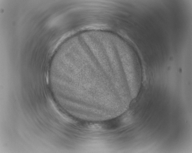 X0000051890062200507151949