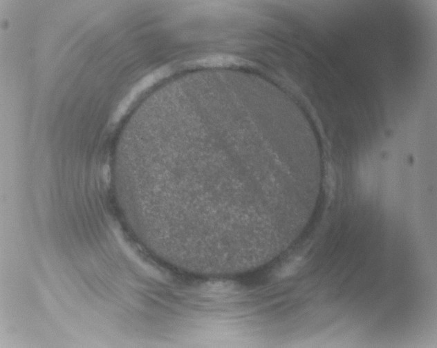 X0000051890063200507151949