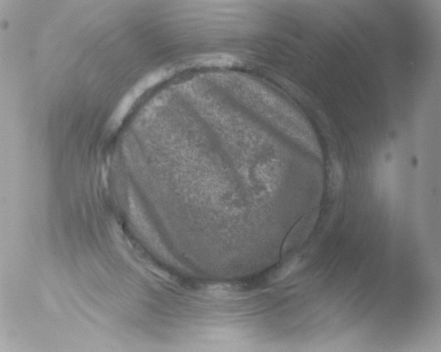 X0000051890064200507151949