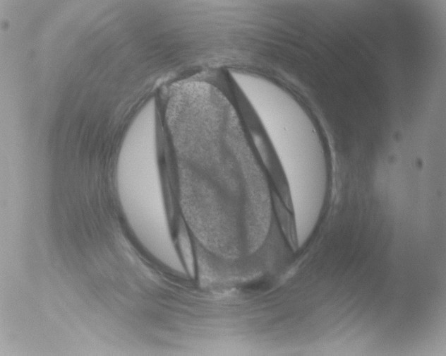 X0000051890065200507151949