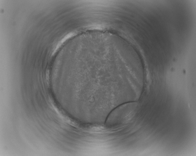 X0000051890066200507151949