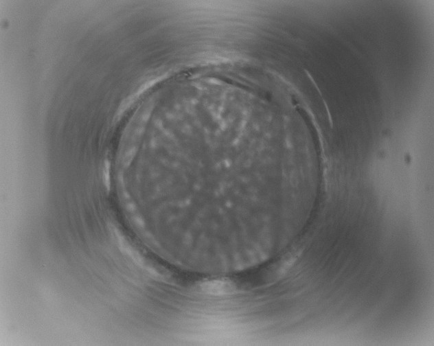 X0000051890067200507151949