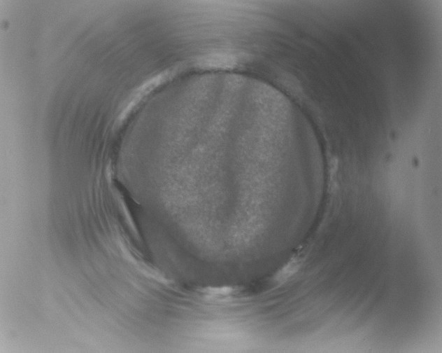 X0000051890068200507151949