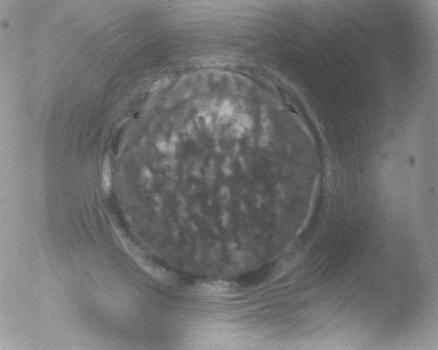 X0000051890069200507151949