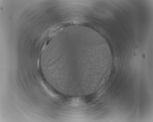 X0000051890070200507151949