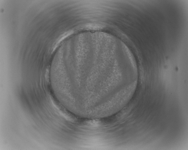 X0000051890071200507151949