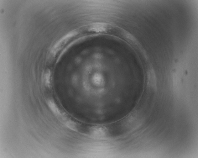 X0000051890073200507151949