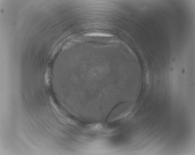 X0000051890074200507151949