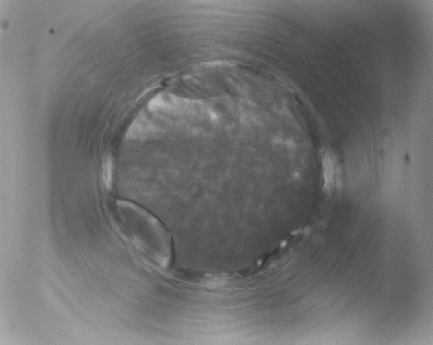 X0000051890076200507151949