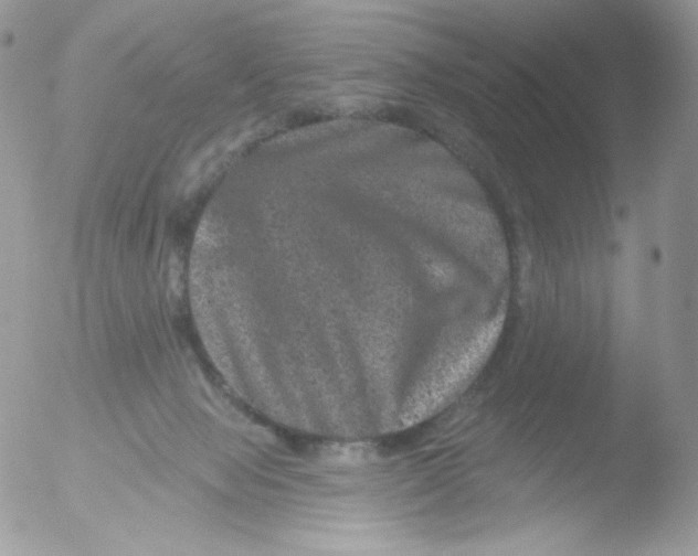 X0000051890077200507151950