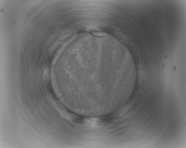 X0000051890079200507151950