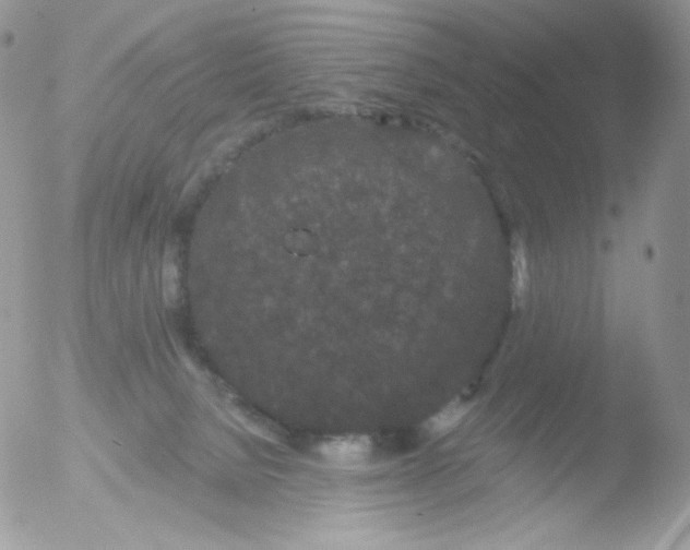 X0000051890080200507151950