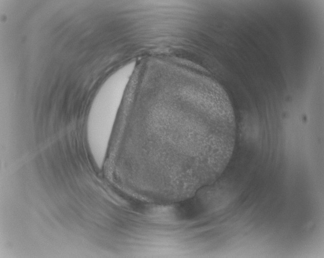 X0000051890081200507151950