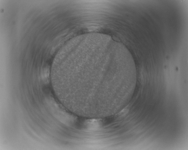 X0000051890082200507151950