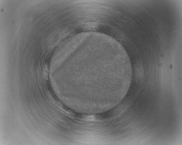 X0000051890083200507151950