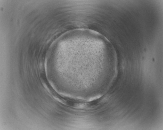 X0000051890084200507151950