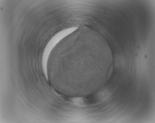 X0000051890085200507151950