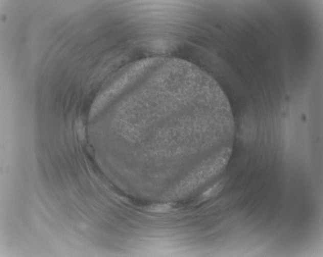 X0000051890086200507151950