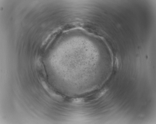 X0000051890088200507151950