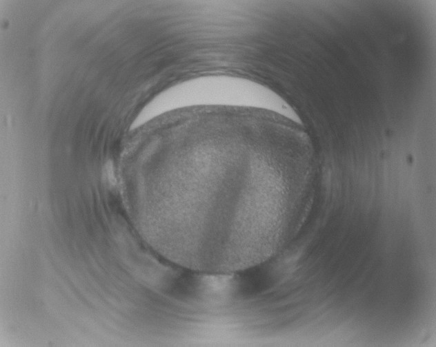 X0000051890089200507151950