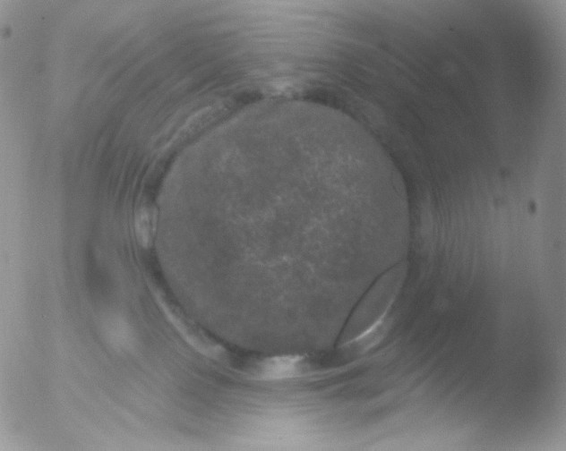 X0000051890090200507151950