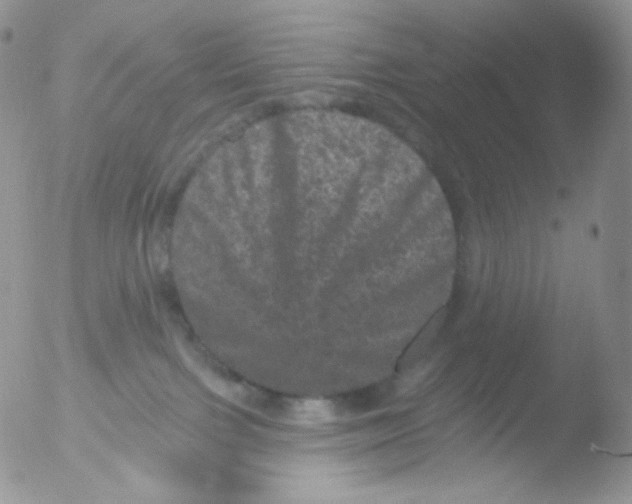 X0000051890091200507151950