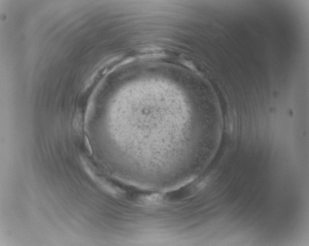 X0000051890092200507151950