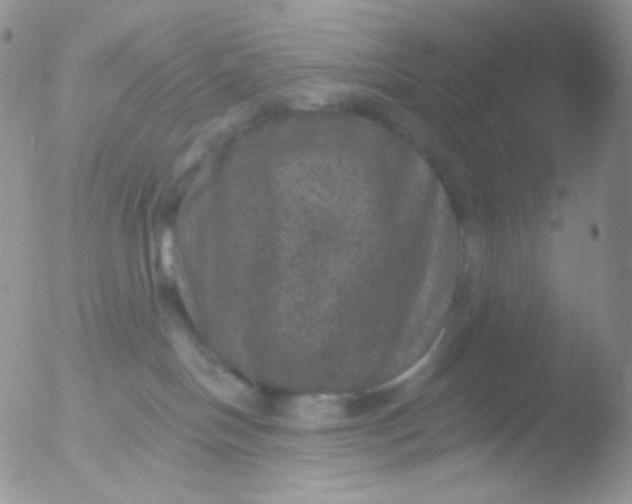 X0000051890094200507151950