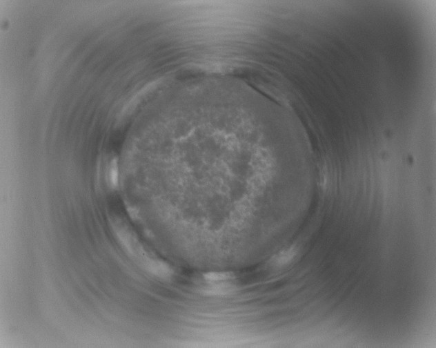 X0000051890095200507151950