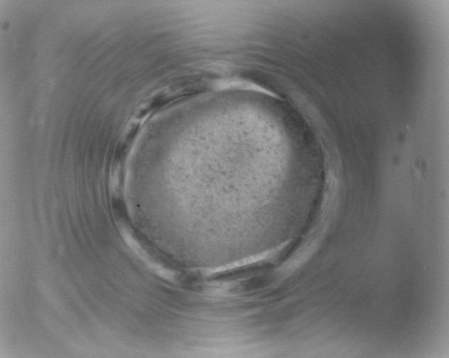 X0000051890096200507151950