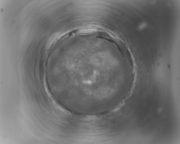 X0000051890097200507151949