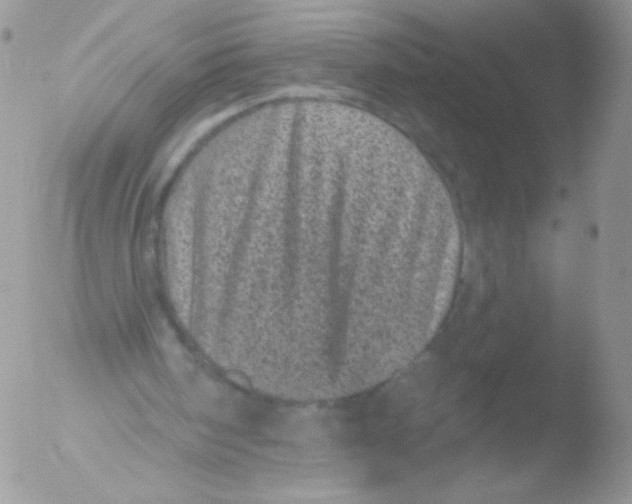 X0000051890098200507151949