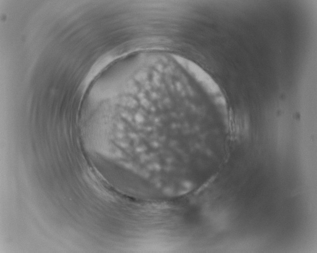 X0000051890099200507151949