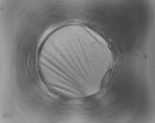 X0000051890102200507151949