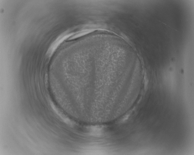 X0000051890103200507151949