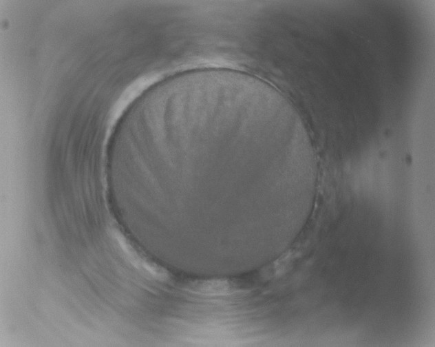 X0000051890104200507151949