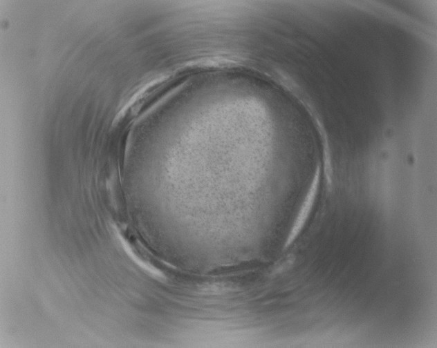 X0000051890105200507151949