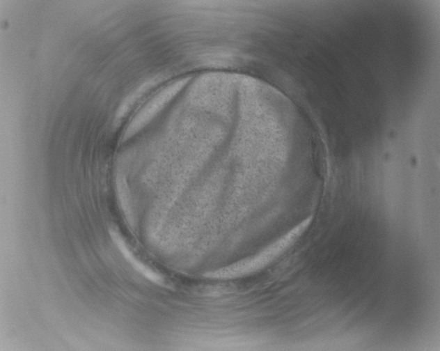 X0000051890106200507151949