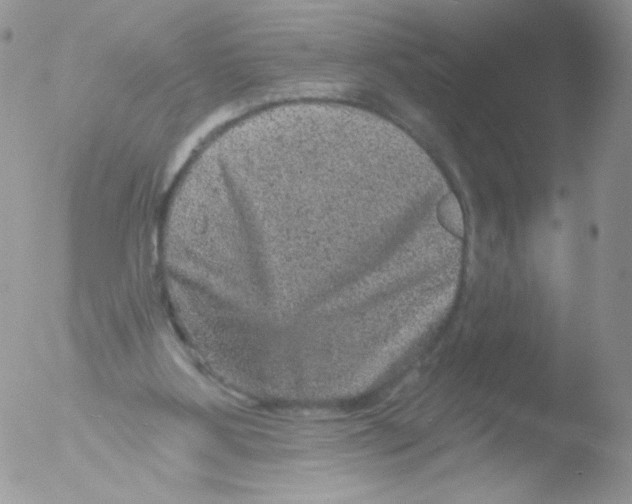 X0000051890107200507151949