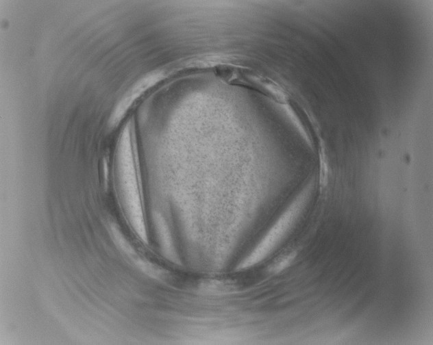 X0000051890109200507151949