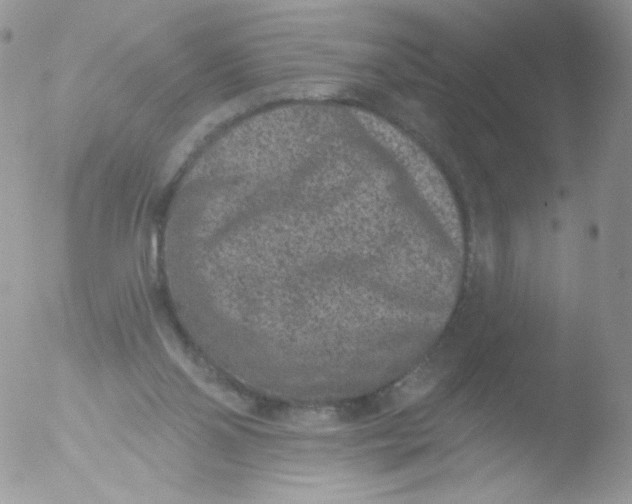 X0000051890110200507151949