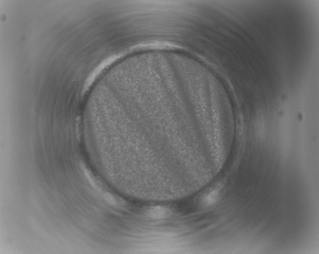 X0000051890111200507151949