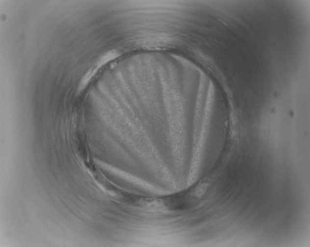 X0000051890113200507151949