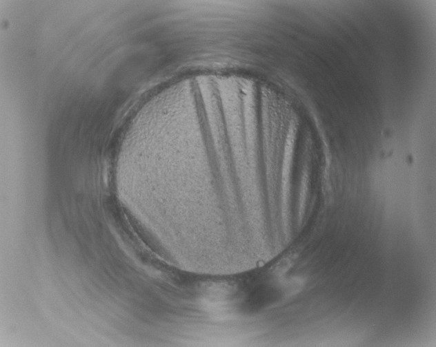 X0000051890115200507151949