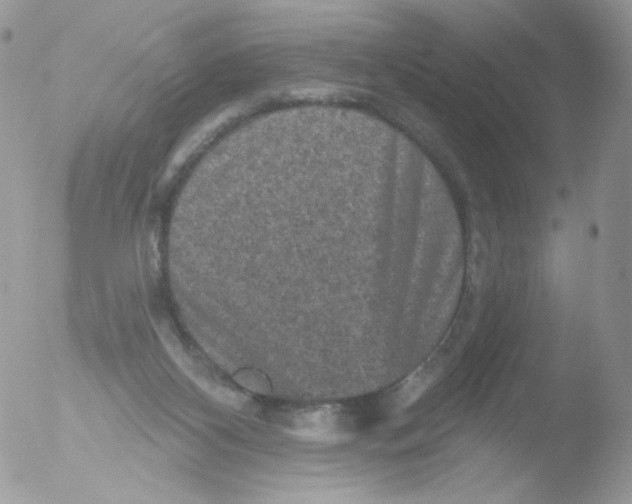 X0000051890116200507151949