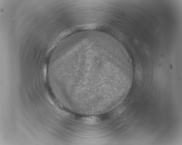 X0000051890118200507151949